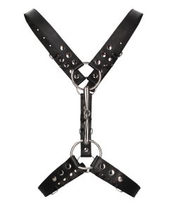 Shots Uomo Men's Harness w/Metal Bit